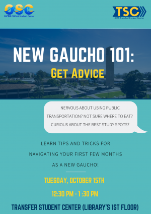New Gaucho 101